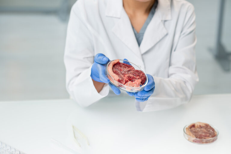 Laboratorijsko gojeno meso je na pohodu