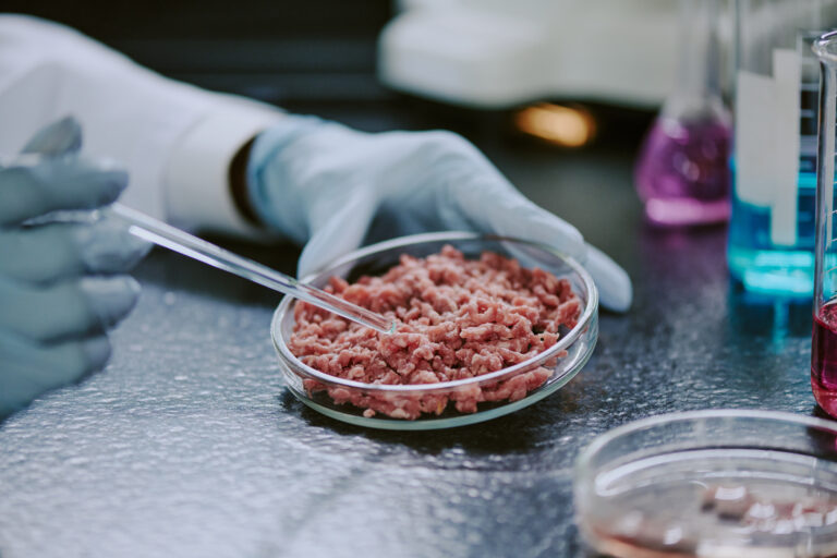 Laboratorijsko gojeno meso in status v EU